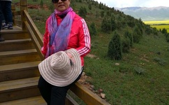 做艾很黄很暴力动态图